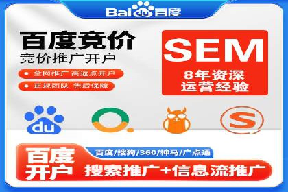 某行业领军企业的SEM广告投放策略